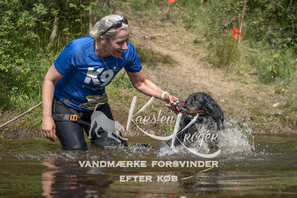 1040DKK991256 | kk-dogfotos