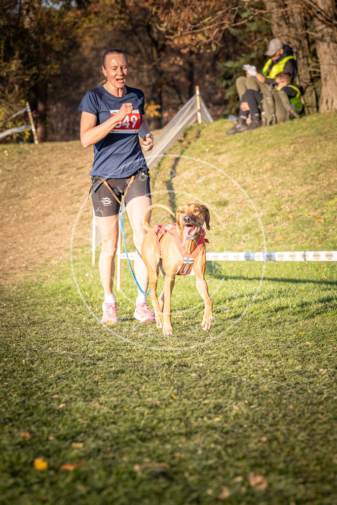 CaniXpix_0L8A0799 | Hundefotografie, Tierfotograf, Pfotenfotografie, Fotoshooting Hund, Hunde Portrait, Hundesport, Hundeportraits, Heideshooting, Hunde, Sportfotograf, Hundefotograf, Turnierhundsport, THS,  - Realisiert mit Pictrs.com