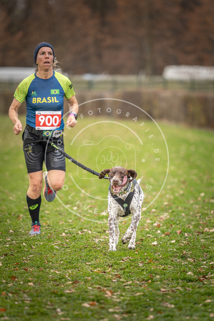 CaniXpix_DV3A6494 | Hundefotografie, Tierfotograf, Pfotenfotografie, Fotoshooting Hund, Hunde Portrait, Hundesport, Hundeportraits, Heideshooting, Hunde, Sportfotograf, Hundefotograf, Turnierhundsport, THS,  - Realisiert mit Pictrs.com