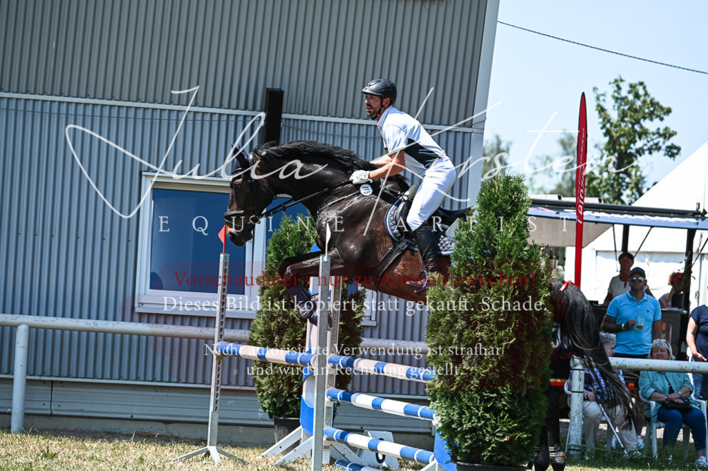 DSC_0335 | Pferde- und Turnierfotografie in Westsachsen. Pferdeportraits, Auftragszeichnungen und intuitive Kunst.