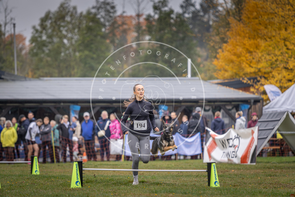 Pfotenfotografie_DV3A0669 | Hundefotografie, Tierfotograf, Pfotenfotografie, Fotoshooting Hund, Hunde Portrait, Hundesport, Hundeportraits, Heideshooting, Hunde, Sportfotograf, Hundefotograf, Turnierhundsport, THS,  - Realisiert mit Pictrs.com