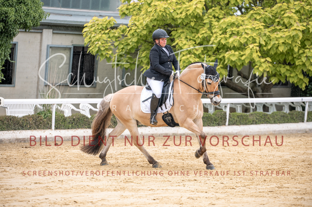 Schugtsche-Aluta25-41.Amat-Dressurprf.A_-207 | Schugtsche Fotografie - Realisiert mit Pictrs.com