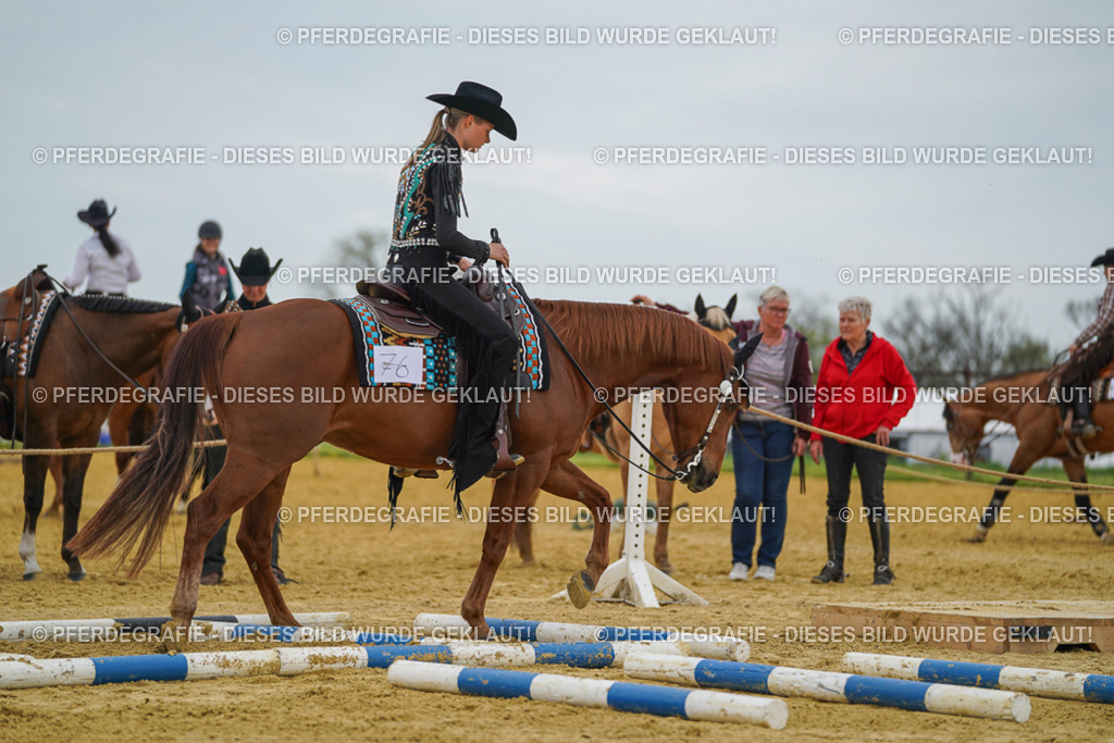 DSC02699 | Pferdegrafie