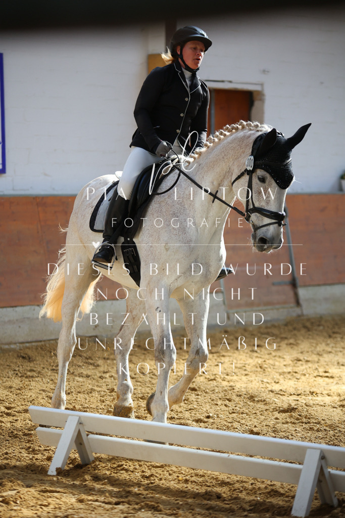 IMGT6527 | pl-fotografie