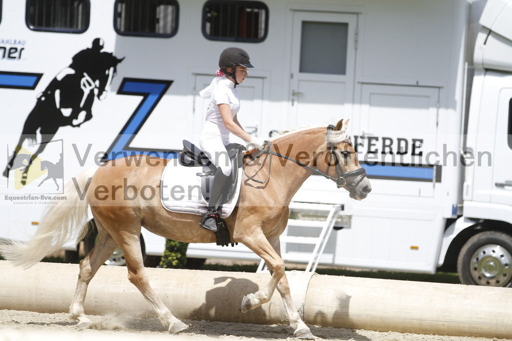 _MG_1010 | equestrian-live-com