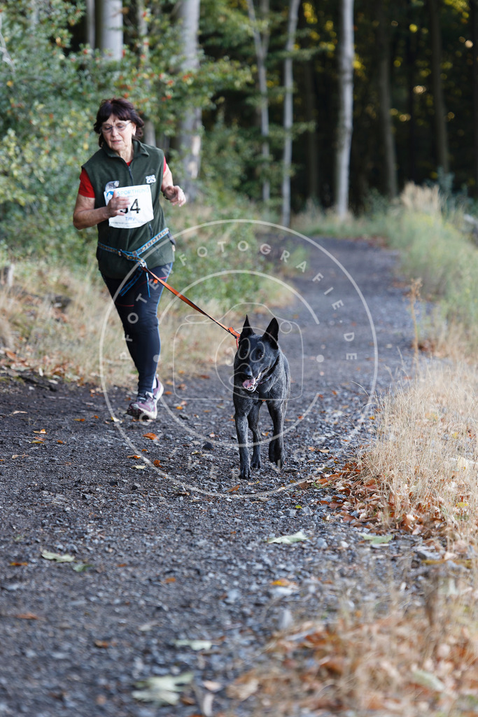 0L8A2214 | Hundefotografie, Tierfotograf, Pfotenfotografie, Fotoshooting Hund, Hunde Portrait, Hundesport, Hundeportraits, Heideshooting, Hunde, Sportfotograf, Hundefotograf, Turnierhundsport, THS,  - Realisiert mit Pictrs.com