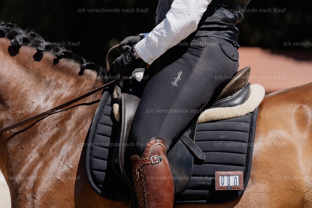 WE_DR_80_SinaFilmArt_IN03388 | working equitationturnier fotograf videograf stoibphotography marixx film working equitation deutschland reitsport turnierfotografie eventfotografie equestrian events