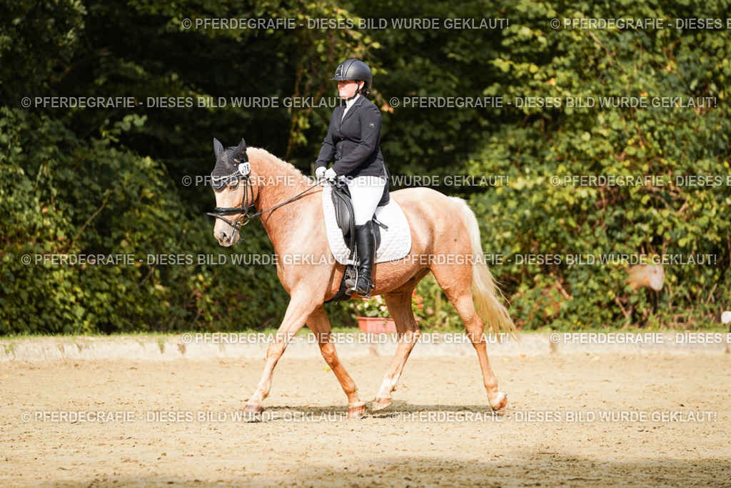 DSC03001 | Pferdegrafie