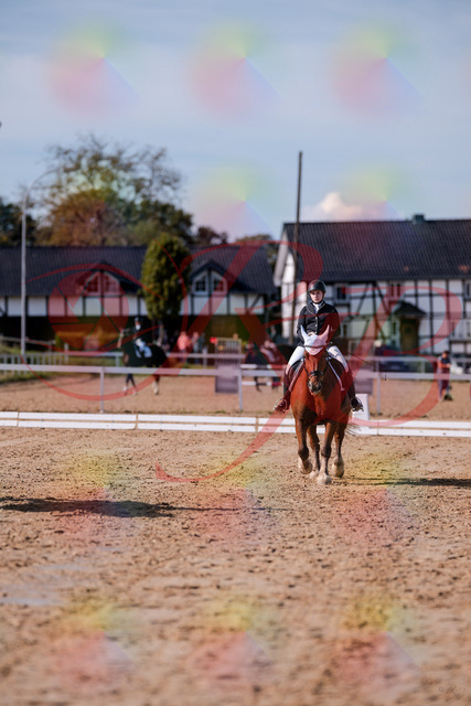 2026_10_03_Siefer-Hof_130107_Z81_52597400 | Professionelle Reitsport-, Turnier- und Eventfotografie von Robert Broda. Galerien mit ausgewählten und bearbeiteten Bildern direkt online ansehen und bestellen.