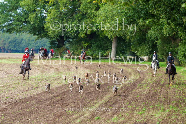 Jagd Perdoel 26 Sony-04008_MarinaHewig | Fotografie, FotoArt, PferdesportArt, Pferdesportfotografie, Landschaftsfotografie, Reisefotografie, Reise, Pferde - Realisiert mit Pictrs.com