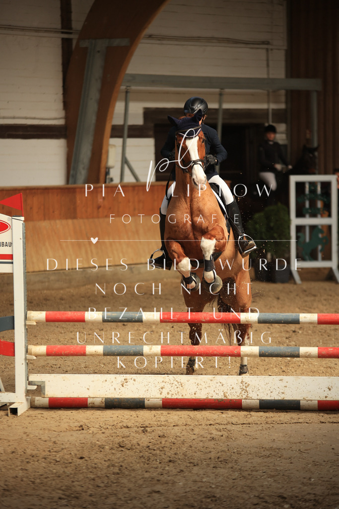 IMGT9832 | pl-fotografie