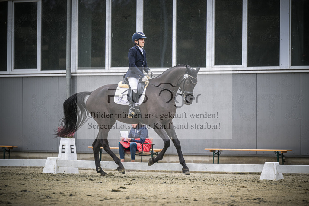 DOS_1388 | Entdecke hochwertige Reitturnierfotos von Foto Oger. Professionell, emotional und authentisch – jetzt Lieblingsmomente im Shop bestellen.Deutschlandweite Turnierfotografie. - Realisiert mit Pictrs.com