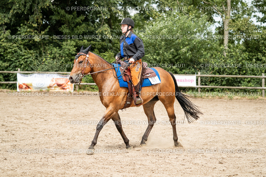 DSC01672 | Pferdegrafie