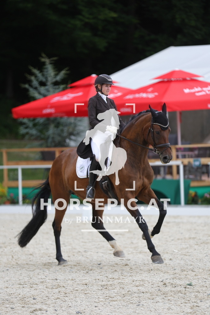 0P6A7286 | Willkommen bei Brunnmayr - Design & Fotografie – Ihrem Spezialisten für Reitturniere und Pferdeveranstaltungen in Oberösterreich, Salzburg und Bayern! Seit über 17 Jahren sind wir leidenschaftlich dabei.