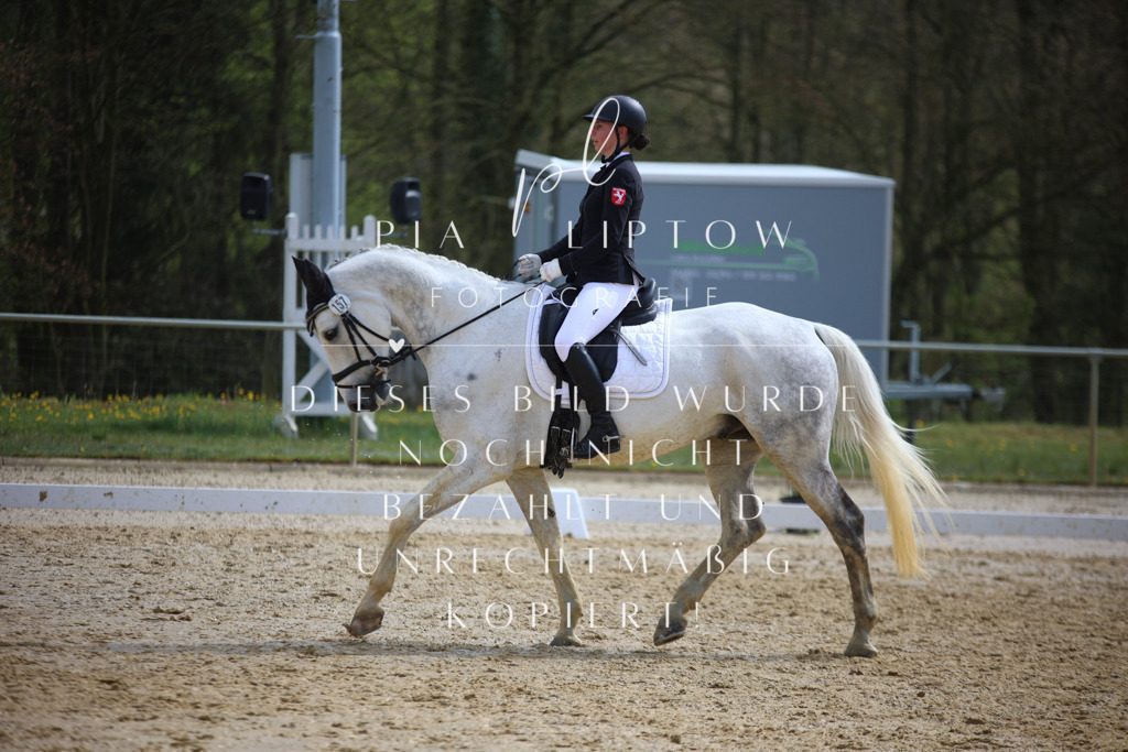 IMGT4880 | pl-fotografie