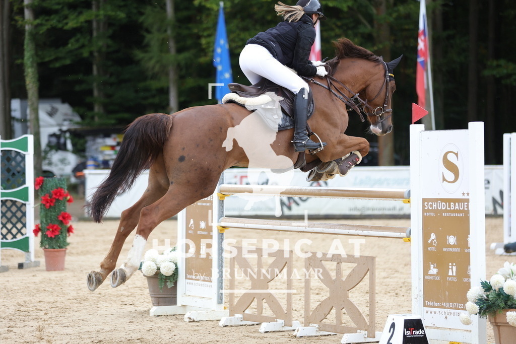 0P6A8622 | Willkommen bei Brunnmayr - Design & Fotografie – Ihrem Spezialisten für Reitturniere und Pferdeveranstaltungen in Oberösterreich, Salzburg und Bayern! Seit über 17 Jahren sind wir leidenschaftlich dabei.