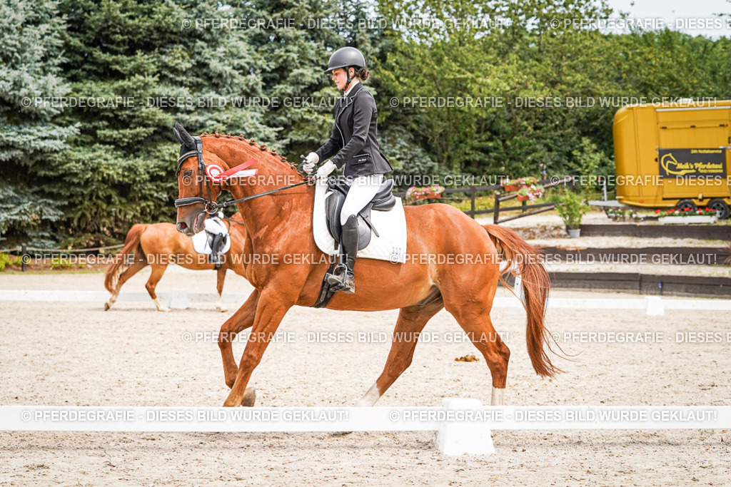 DSC04616 | Pferdegrafie