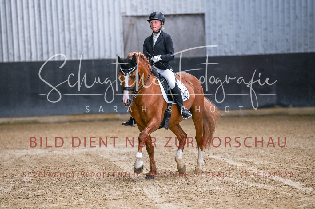 Schugtsche-Aluta25-56.Dressurprf.L1Kand.-23 | Schugtsche Fotografie - Realisiert mit Pictrs.com