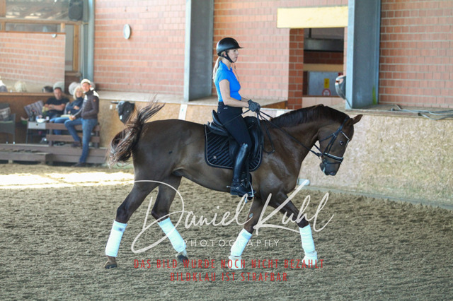 DKP42275 | Turniersportfotografie; Pferdefotografie; Dressurfotografie