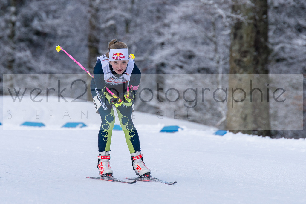 DSC Notschrei | 2. DSV E.INFRA Schülercup im Nordic-Center Notschrei vom 2. - 3. Februar 2019