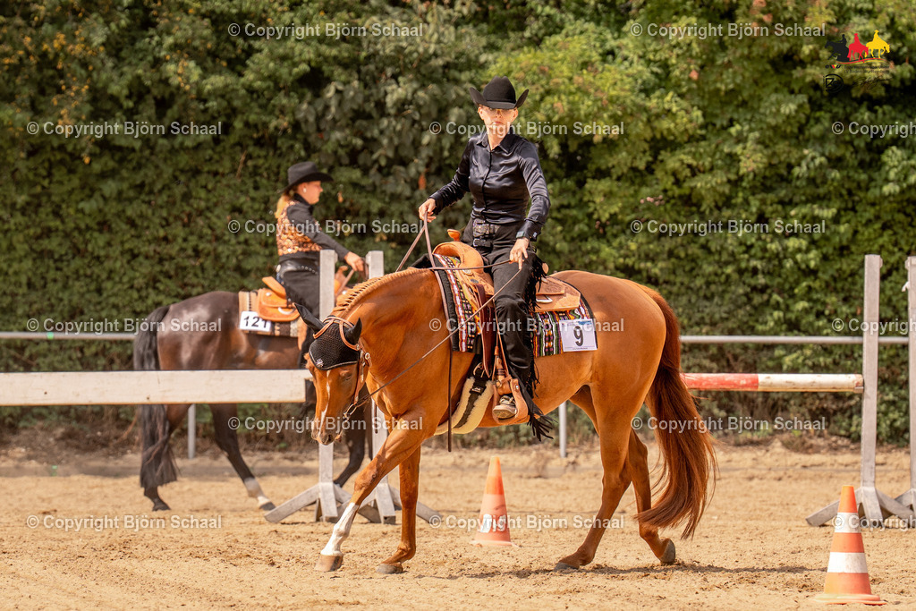 LMS07028 | BS-foto
