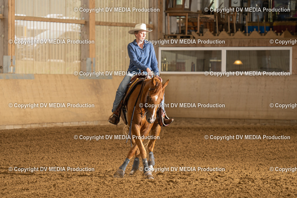 LAU00702 | dv-media-shop - Realisiert mit Pictrs.com