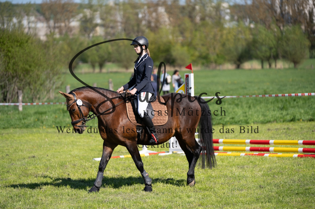 A7V01564 | Pferdefotograf