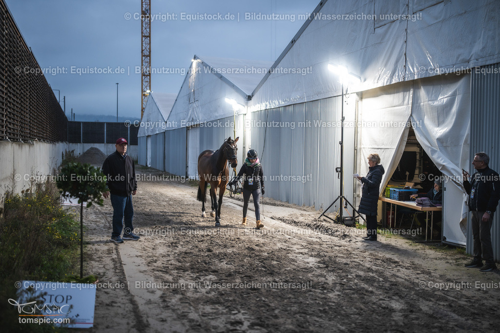 WEB_20241114_Vetcheck_TOMsPiC_0017 | Foto: Thomas Hartig