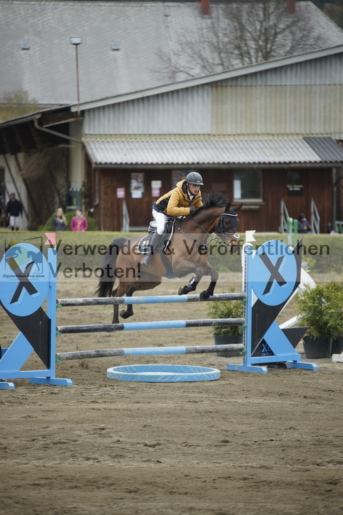_DSC7353 | equestrian-live-com
