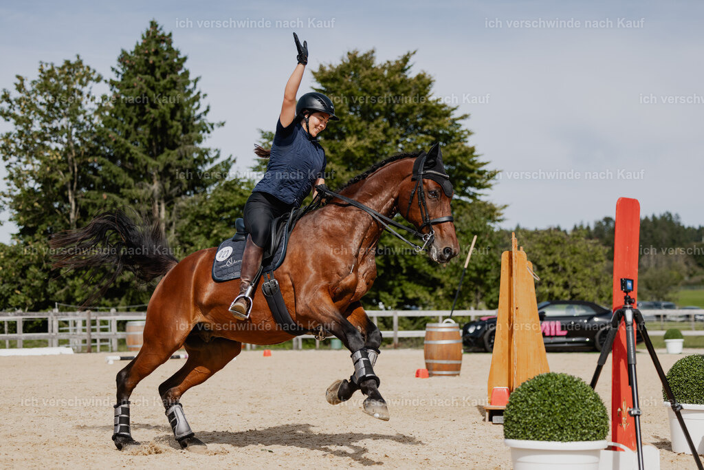 Nadine22_FHC2025-126 | working equitationturnier fotograf videograf stoibphotography marixx film working equitation deutschland reitsport turnierfotografie eventfotografie equestrian events