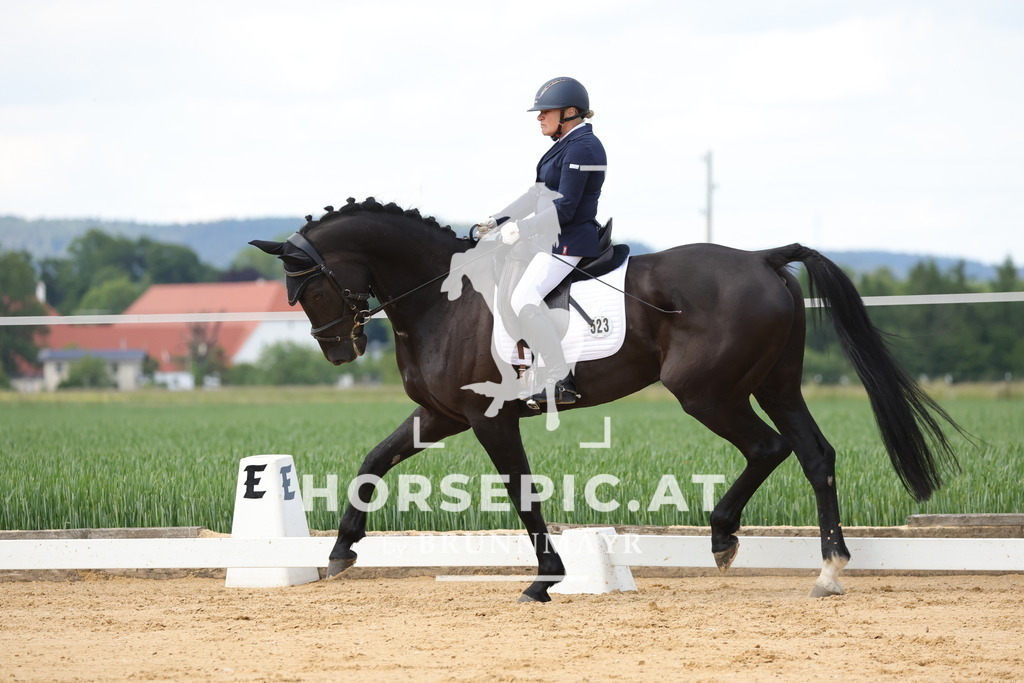 0P6A9075 | Willkommen bei Brunnmayr - Design & Fotografie – Ihrem Spezialisten für Reitturniere und Pferdeveranstaltungen in Oberösterreich, Salzburg und Bayern! Seit über 17 Jahren sind wir leidenschaftlich dabei.