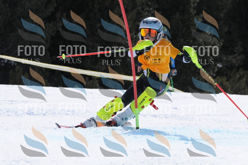 C9396 | holidayphoto