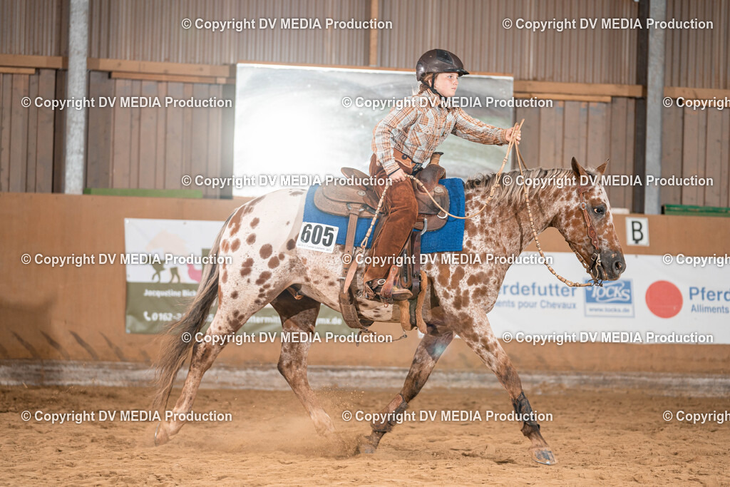 Losheim Tag 1-190 | dv-media-shop - Realisiert mit Pictrs.com