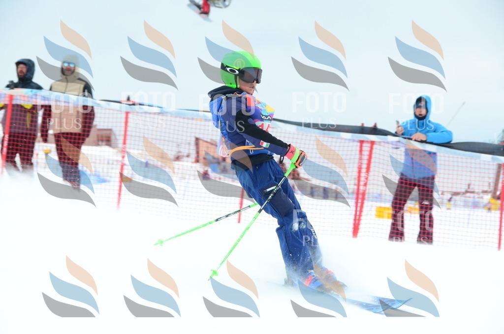 DSC_1392 | holidayphoto