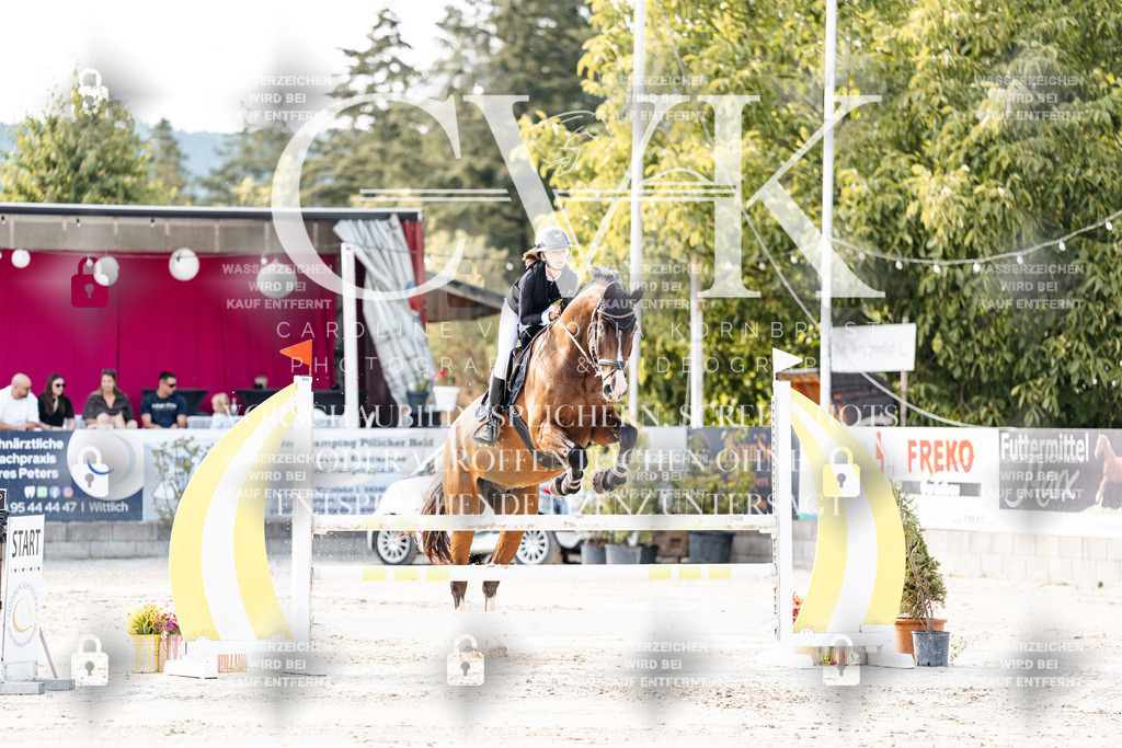 CK906393 | Turnierfotografie Pferdefotografie Trier Rheinland-Pfalz Pferdesport Reitsport Tierfotografie Sportfotografie Pferdevideo Pferdevideografie Equestrianvideography equestrianphotography  - Realisiert mit Pictrs.com