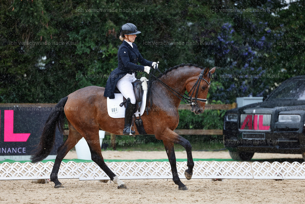 8_1-001-Klasse S_  -StoibPH-3973 | working equitationturnier fotograf videograf stoibphotography marixx film working equitation deutschland reitsport turnierfotografie eventfotografie equestrian events