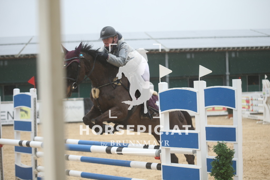 DL2Q5225 | Willkommen bei Brunnmayr - Design & Fotografie – Ihrem Spezialisten für Reitturniere und Pferdeveranstaltungen in Oberösterreich, Salzburg und Bayern! Seit über 17 Jahren sind wir leidenschaftlich dabei.