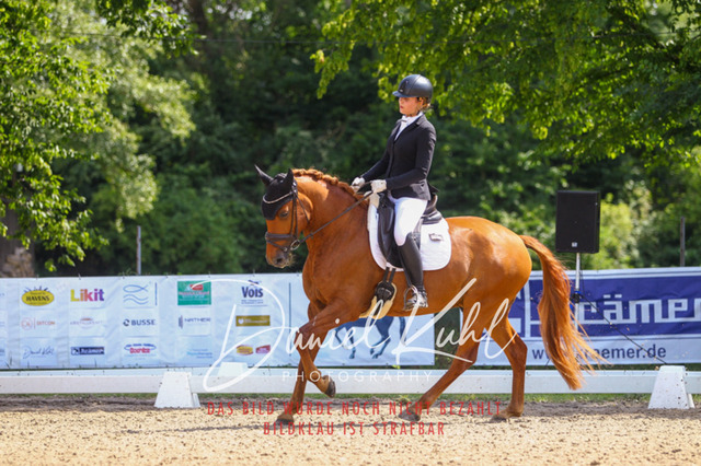 DKP42608 | Turniersportfotografie; Pferdefotografie; Dressurfotografie