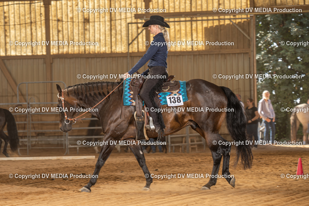 NID02940 | dv-media-shop - Realisiert mit Pictrs.com