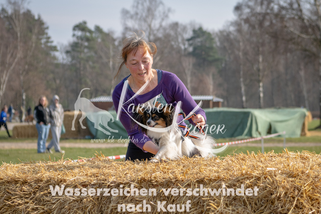 _ZZ94946 | kk-dogfotos