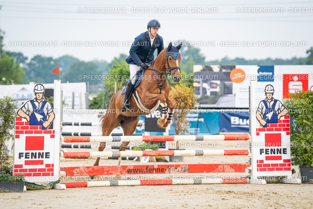 DSC08495 | Pferdegrafie