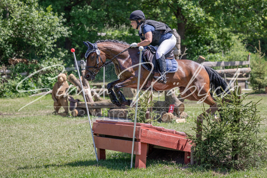 20260523-_3LI8966 | Tierfotografie Pferde, Hunde, Katzen, Haustiere.
Turnierfotografie Reitturniere, Reiten, Springreiten, Dressur in Hanau, dem Main-Kinzig-Kreis und dem Rhein-Main- Gebiet um Frankfurt