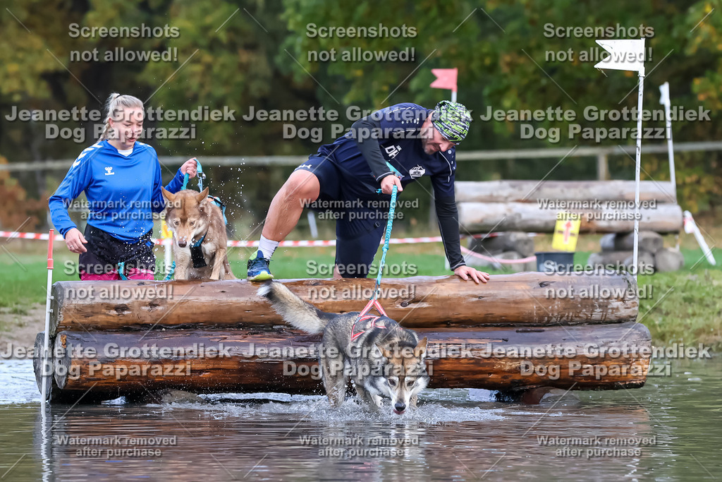 Dog Paparazzi - Strongdog 10-25-6749 | Dog Paparazzi Jeanette Grottendiek Fotografie & Videografie - Realisiert mit Pictrs.com