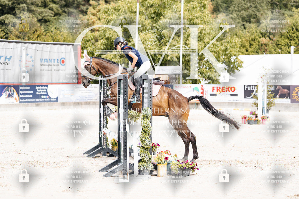 CK906685 | Turnierfotografie Pferdefotografie Trier Rheinland-Pfalz Pferdesport Reitsport Tierfotografie Sportfotografie Pferdevideo Pferdevideografie Equestrianvideography equestrianphotography  - Realisiert mit Pictrs.com