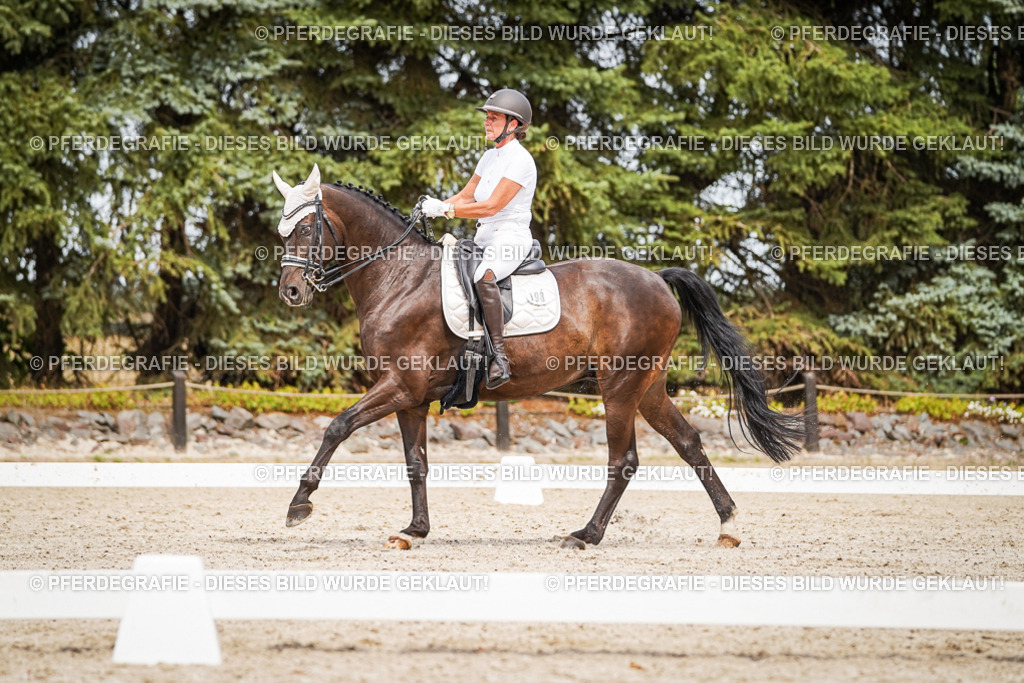 DSC06357 | Pferdegrafie