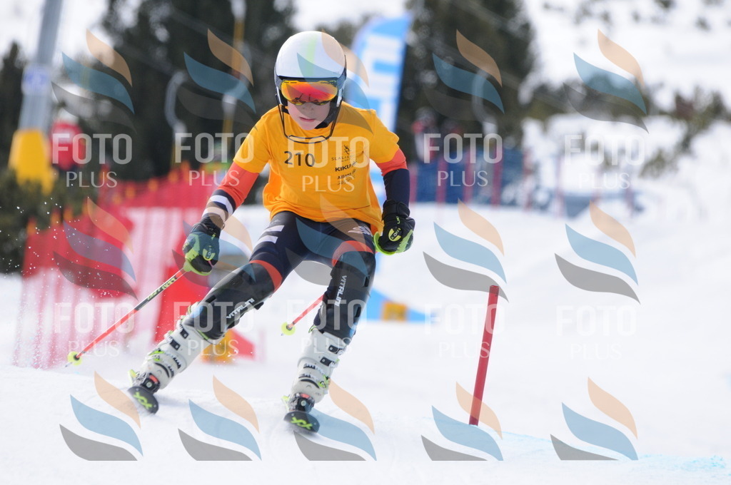 C7564 | holidayphoto