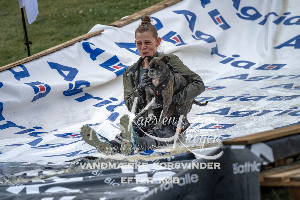 1550_ZZ96682 | kk-dogfotos