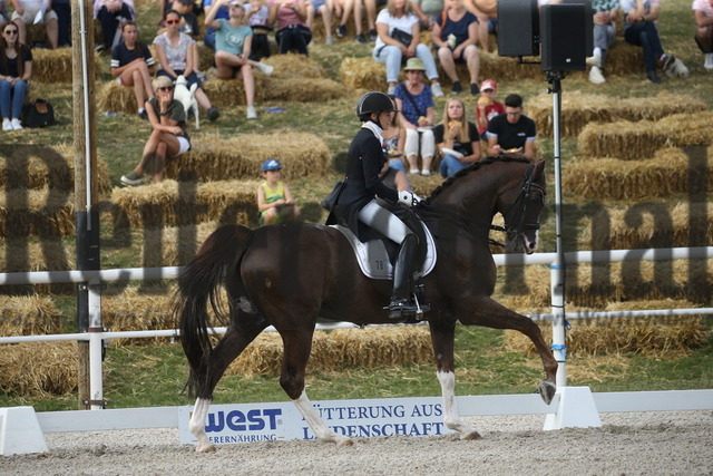 Birkhof_2022_GrandPrixSpecial_Jasmin Schaudt_Fano 3 (12) | Alle Fotos der Reiterjournal Fotografin Doris Matthaes im Reiterjournal Online-Fotoshop. - Realisiert mit Pictrs.com