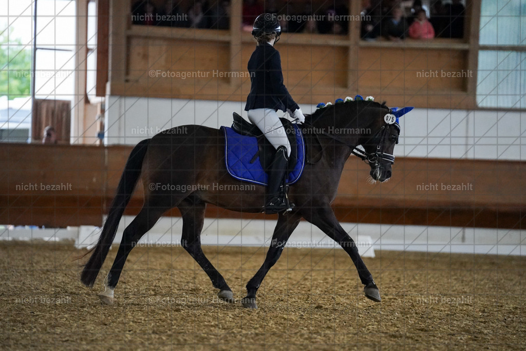 20240825-FAH09008 | Turnierbilder, Reitsportfotos, LAPO, Landesponyturnier, Turnierfotografen Bayern