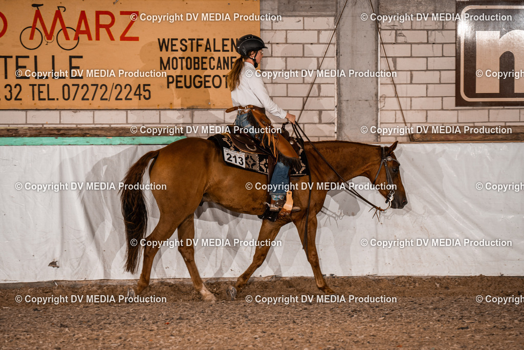 ZH300234 | dv-media-shop - Realisiert mit Pictrs.com